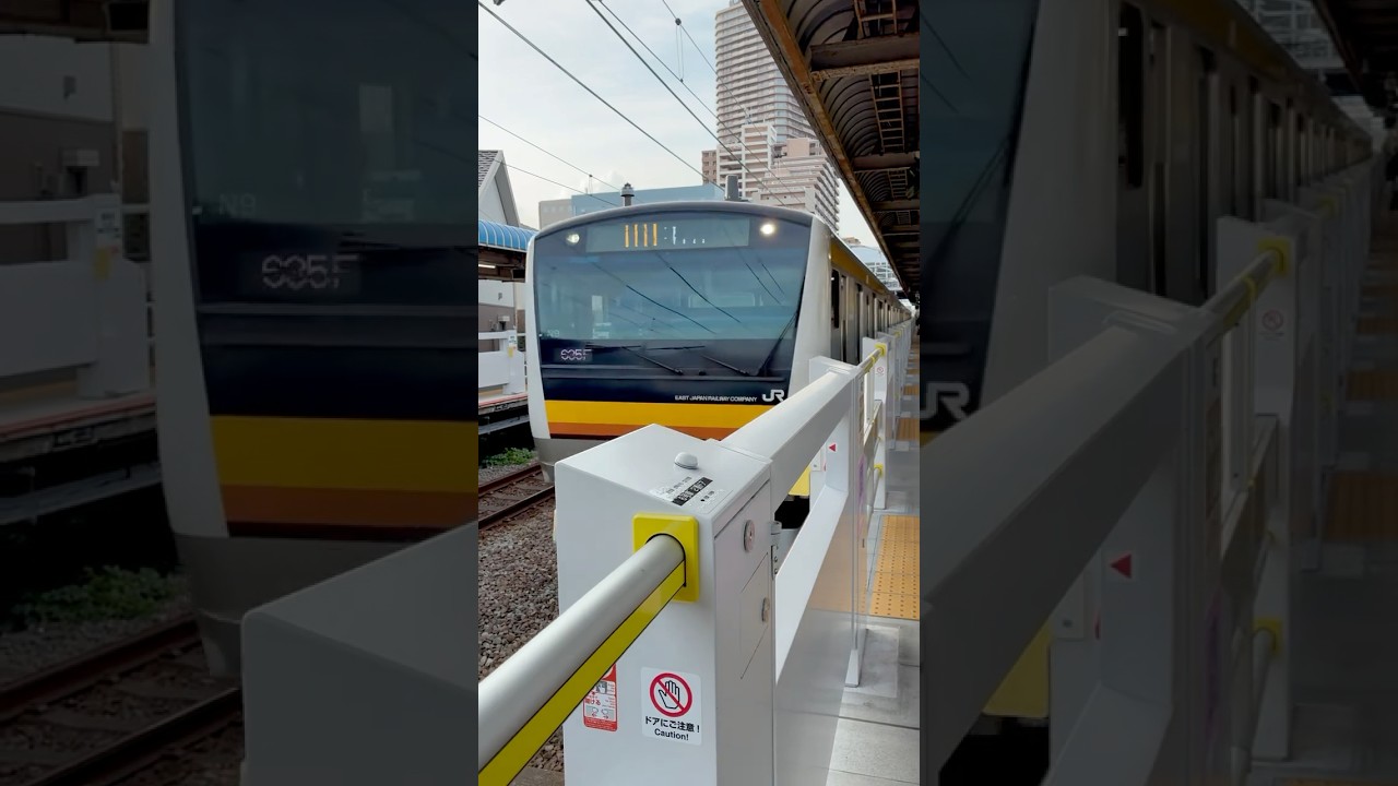 Nambu Line E233 Train Approaching Kashimada Station | Tokyo Area Railway