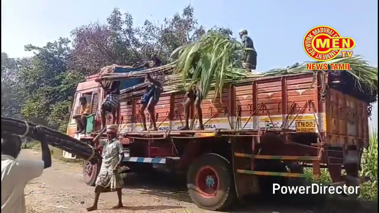 தைப்பொங்கல் பண்டிகையை முன்னிட்டு மதுரை மாவட்டம் மேலூர் தாலுகா கீழையூர்,நாவினிப்பட்டி சூரமங்கலம் 