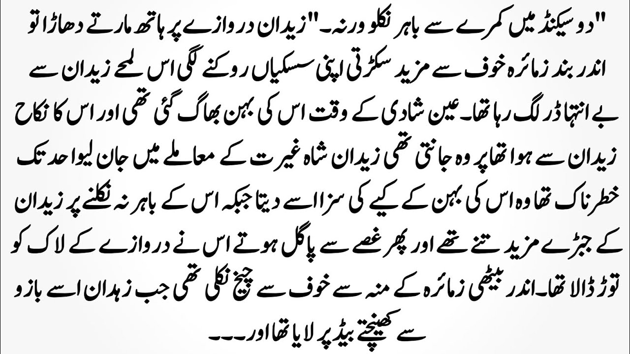 Urdu Novel 