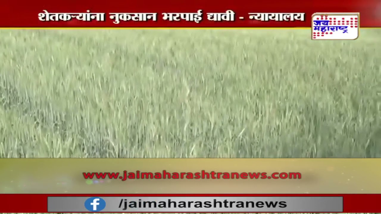 Agriculture News | पिकविम्या संदर्भात महत्त्वाची बातमी | Marathi News