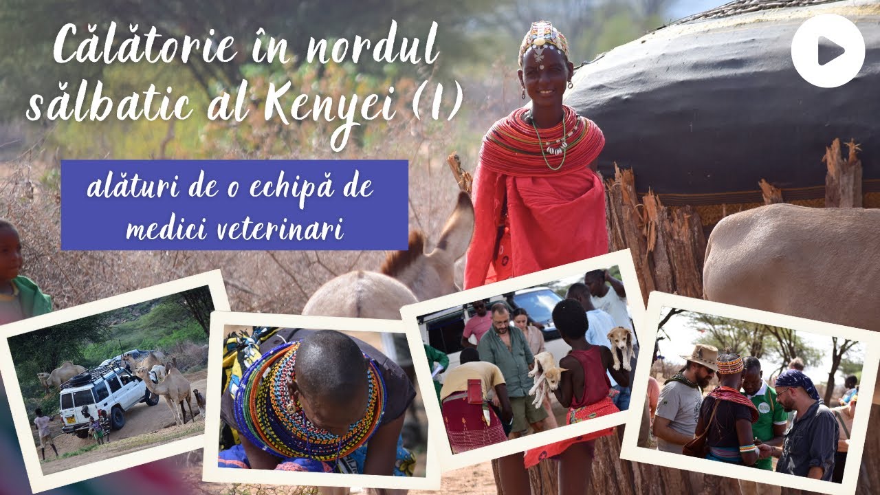 Călătorie în nordul sălbatic al Kenyei (I) alături de o echipă de medici veterinari • #explorekenya