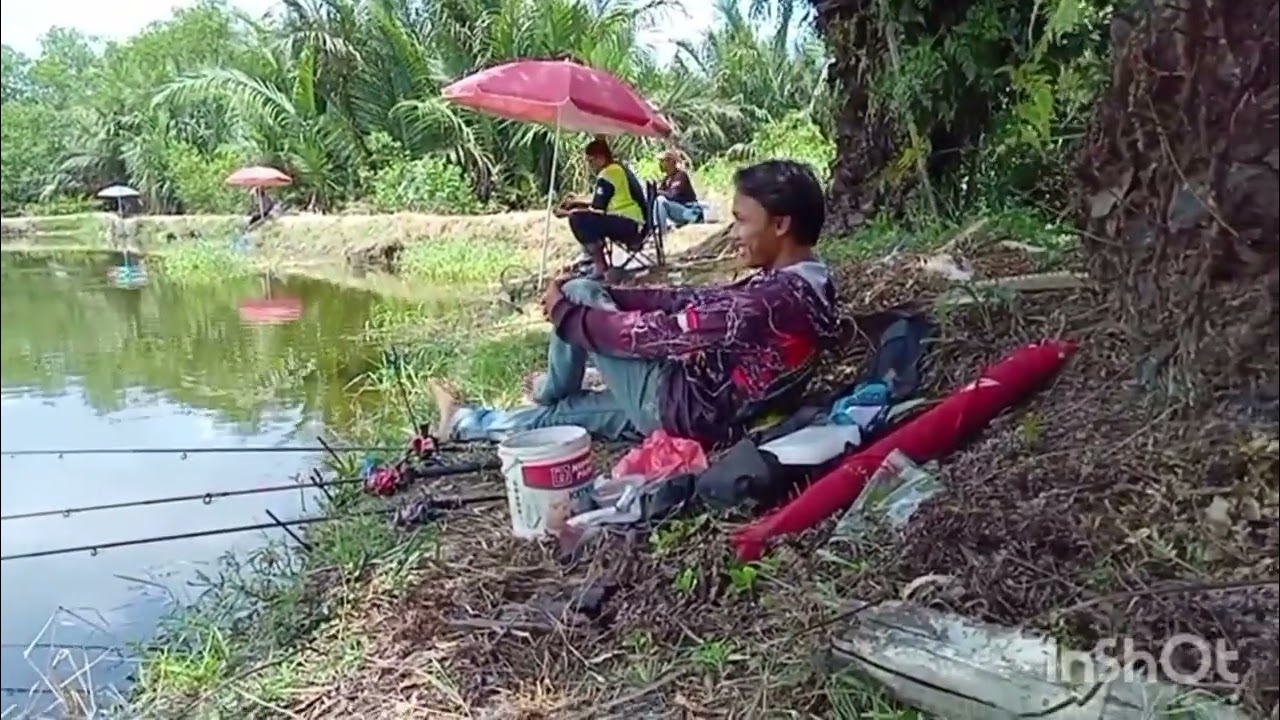 bukak kolam mingguan tgl,8,3,2026, di situs cina kolam budi sawit, tiket 50 rb jam 5 pagi