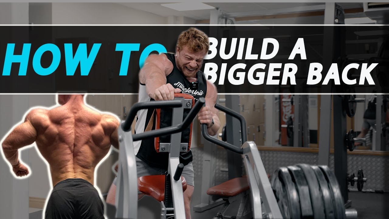 How To Train Your Back | IFBB PRO Josh Bridgman