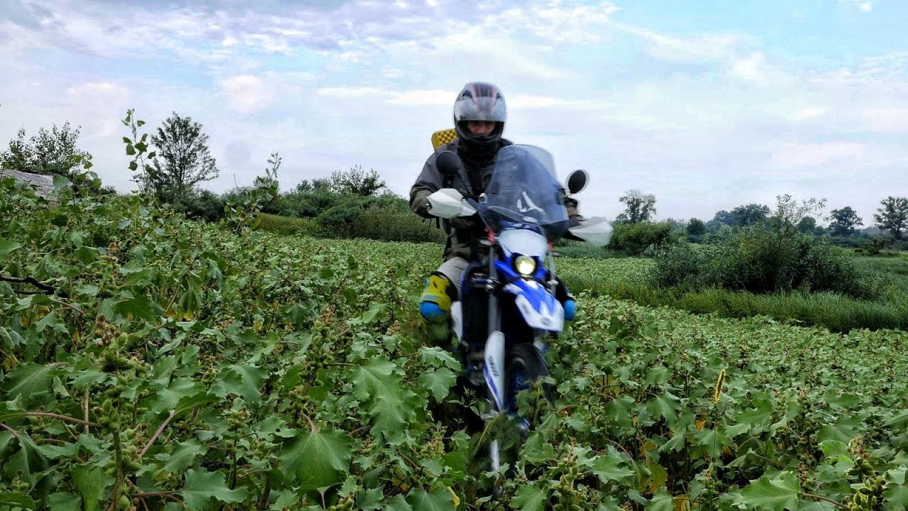 YAMAHA WR250R. SOLO Motorcycle Camping in the Wild
