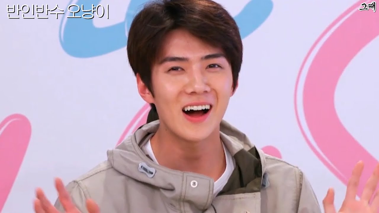 귀여운 세훈이를 모아모아