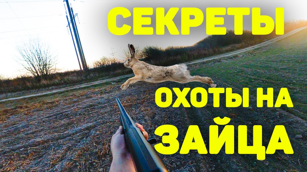 ЛУЧШИЕ СЕКРЕТЫ охоты на зайца. ОХОТА на зайца без собаки