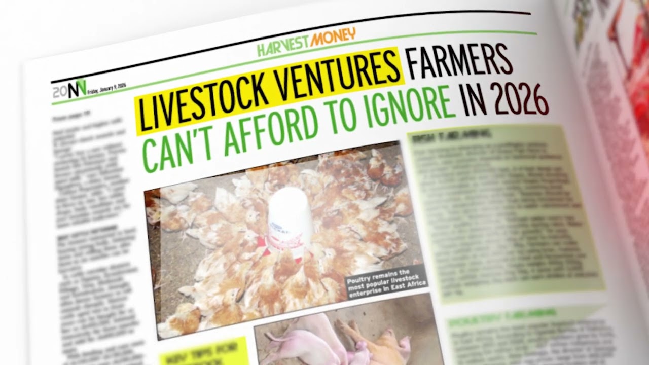 Get Harvest Money Pullout In the New Vision January 09, 2026