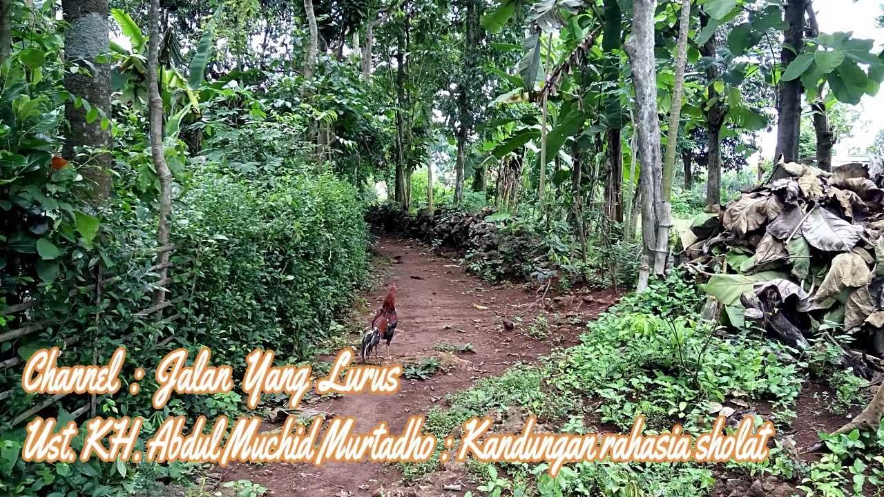 Jalan Yang Lurus : Ust. KH. Abdul Muchid Murtadho : Kandungan rahasia sholat