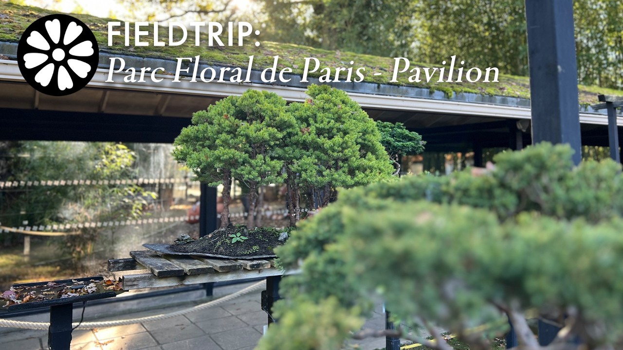 FIELDTRIP: Parc Floral de Paris - Pavilions