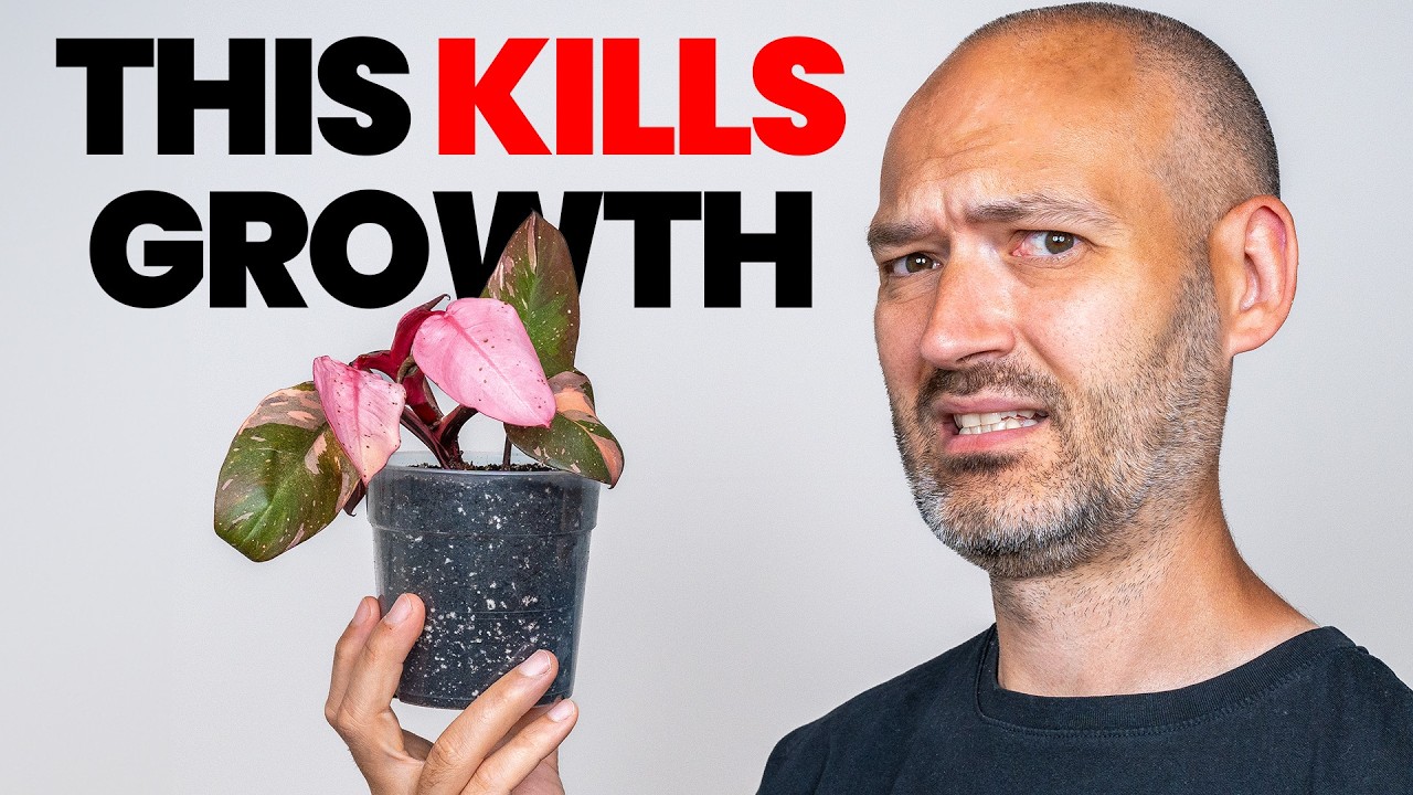Your Plants Will NEVER Grow If You Keep Doing This