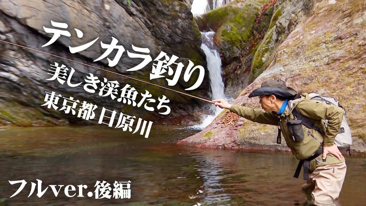 テンカラで感じる春の息吹！日原川で渓魚と戯れる 2/2 『渓流ギャラリー』＜フルver＞【釣りビジョン】