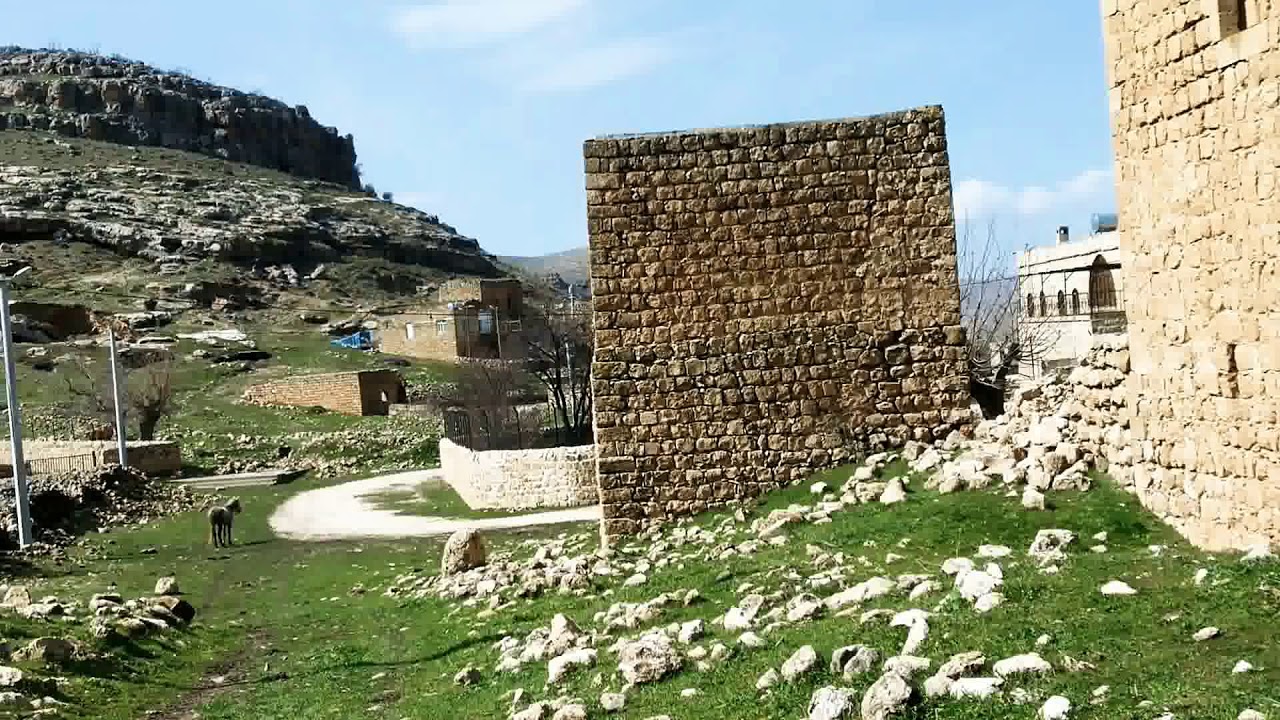 Savur dereiçi ( QILIT )