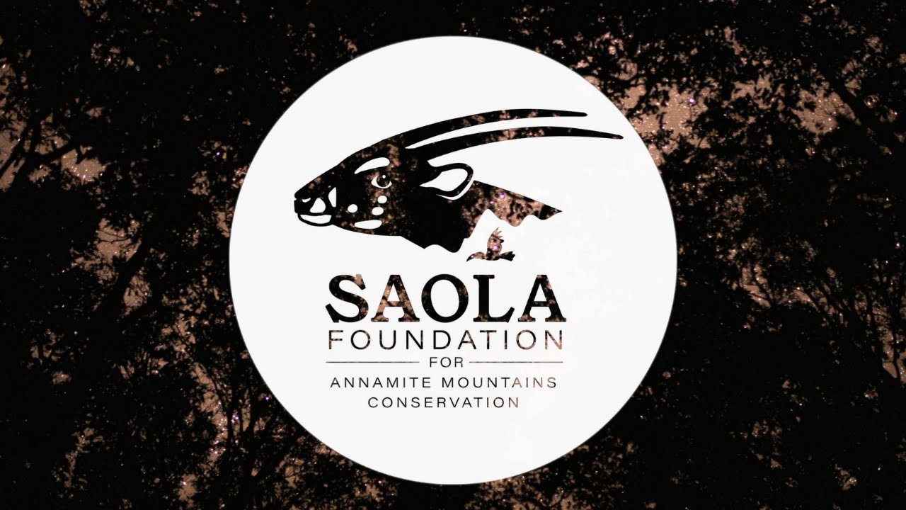 Saola Foundation for Annamite Mountains Conservation