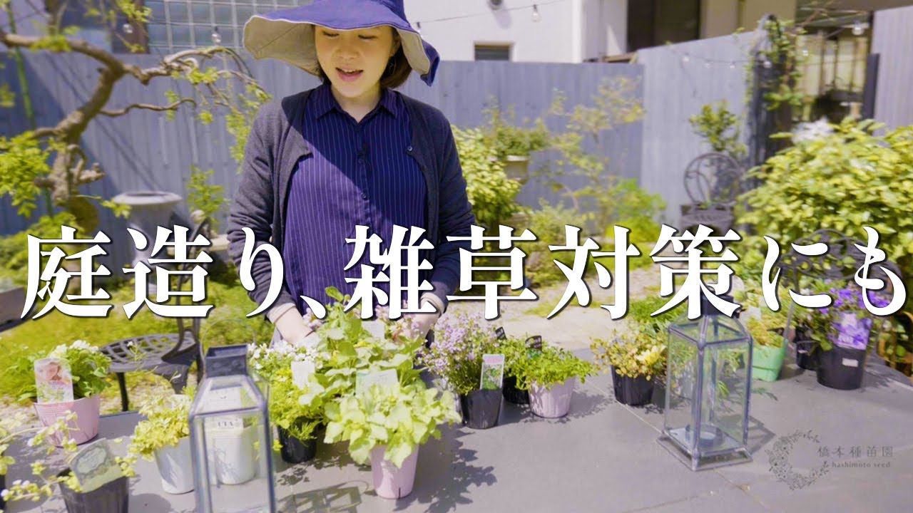 “グランドカバー”におすすめの植物をご紹介！