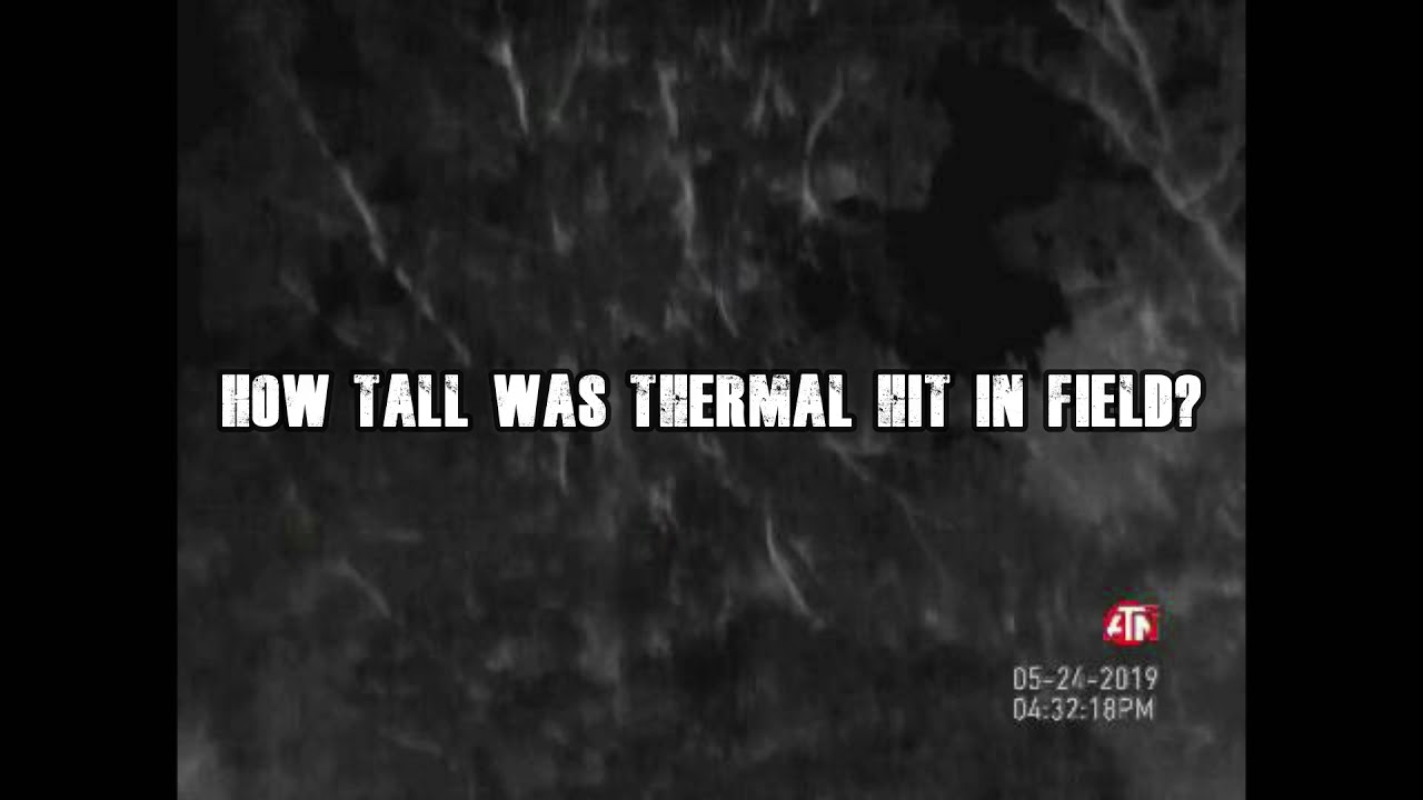 Alabama Bigfoot Is this a Bigfoot on thermal?