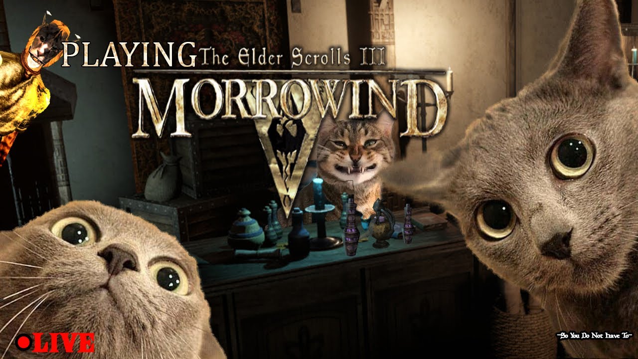 A Khajiit's peddles his wares Dagoth Ur | Morrowind arc begins | Skooma Quest