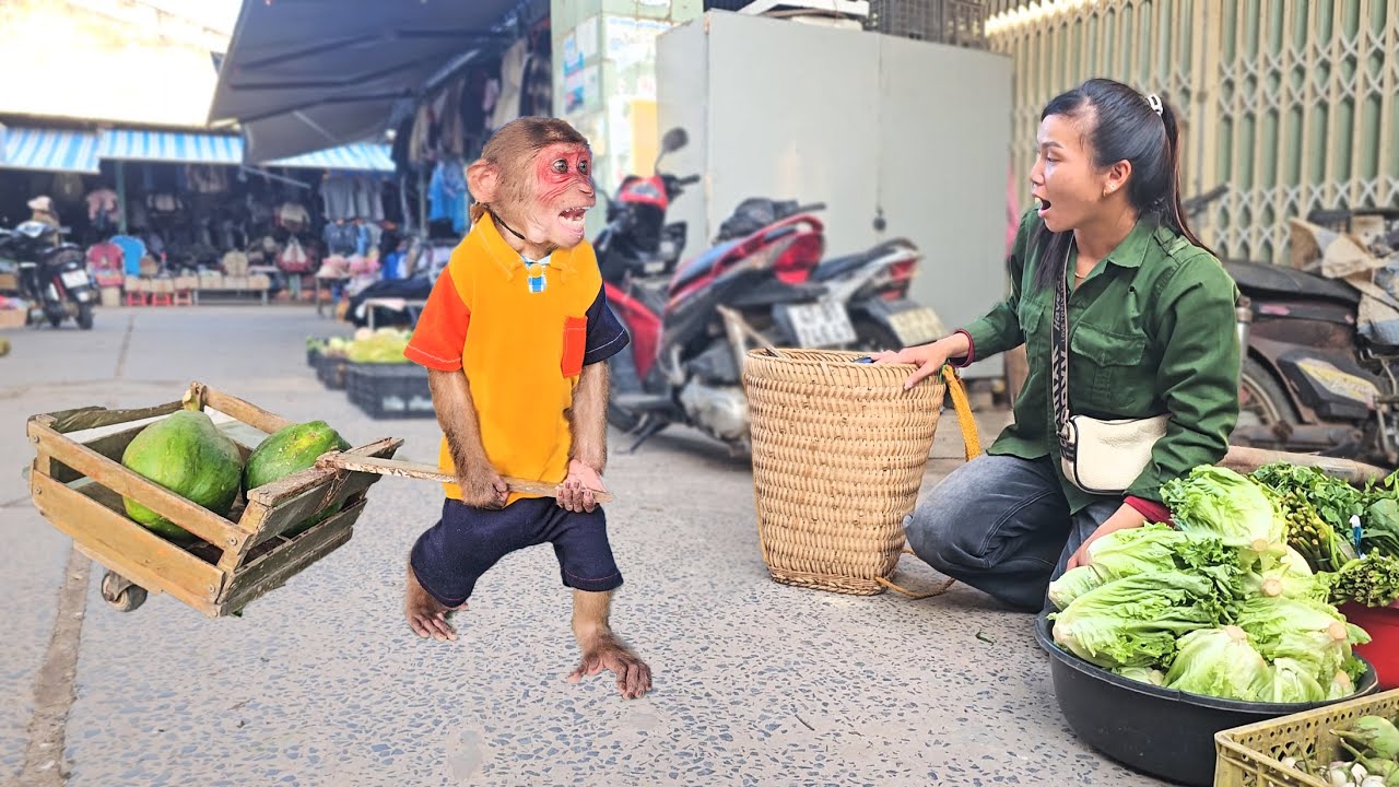 OMG😱 Monkey Su and his mother unexpectedly met at market to sell