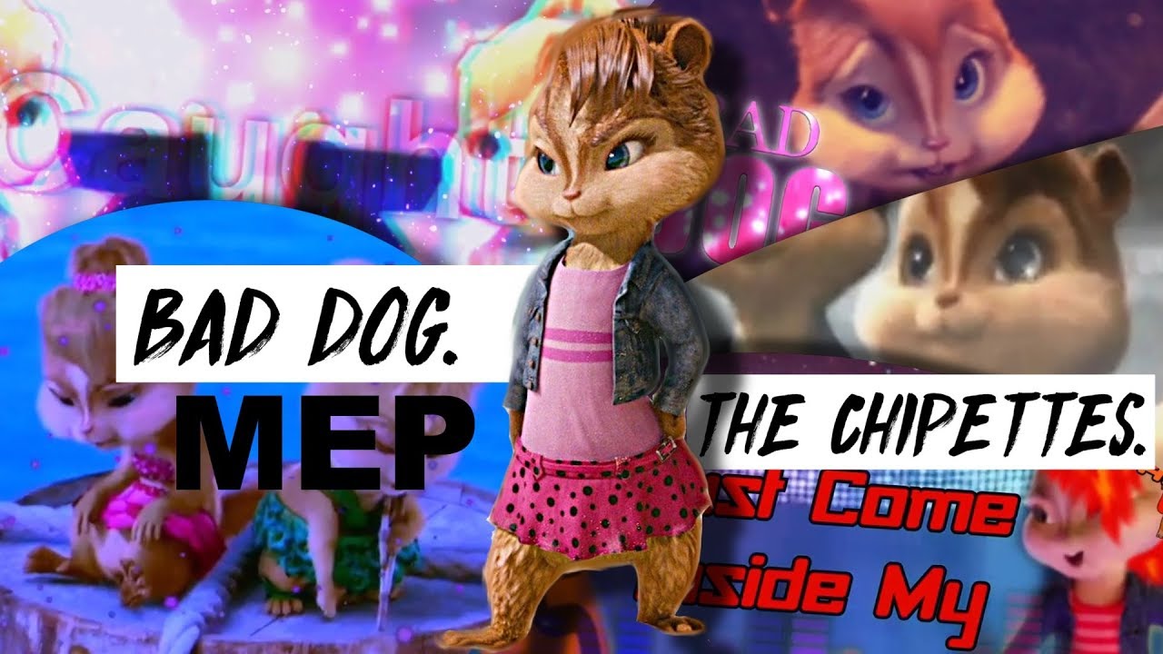 Bad Dog - Chipettes [MEP]