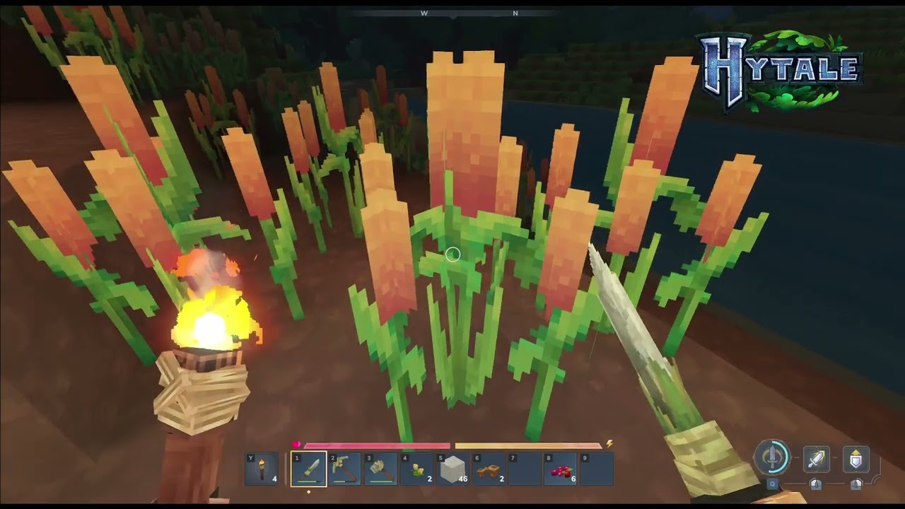 Let´s Play Hytale: Und ich bin der Böse? xD #2