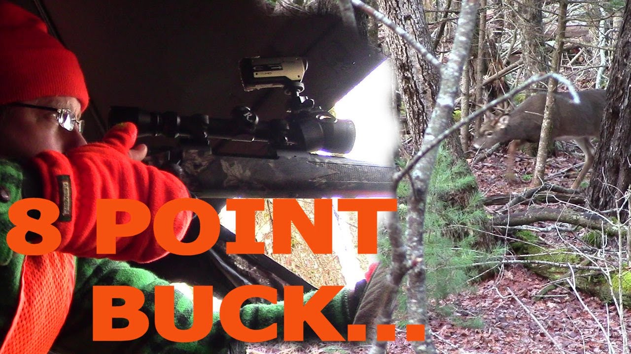 New England 8 Point Buck from a Ground Blind! - Maine Rifle Season