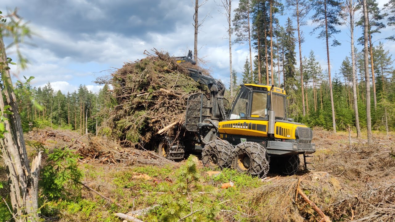 Jonkin sortin minä päivä. 1500 tilaajaa