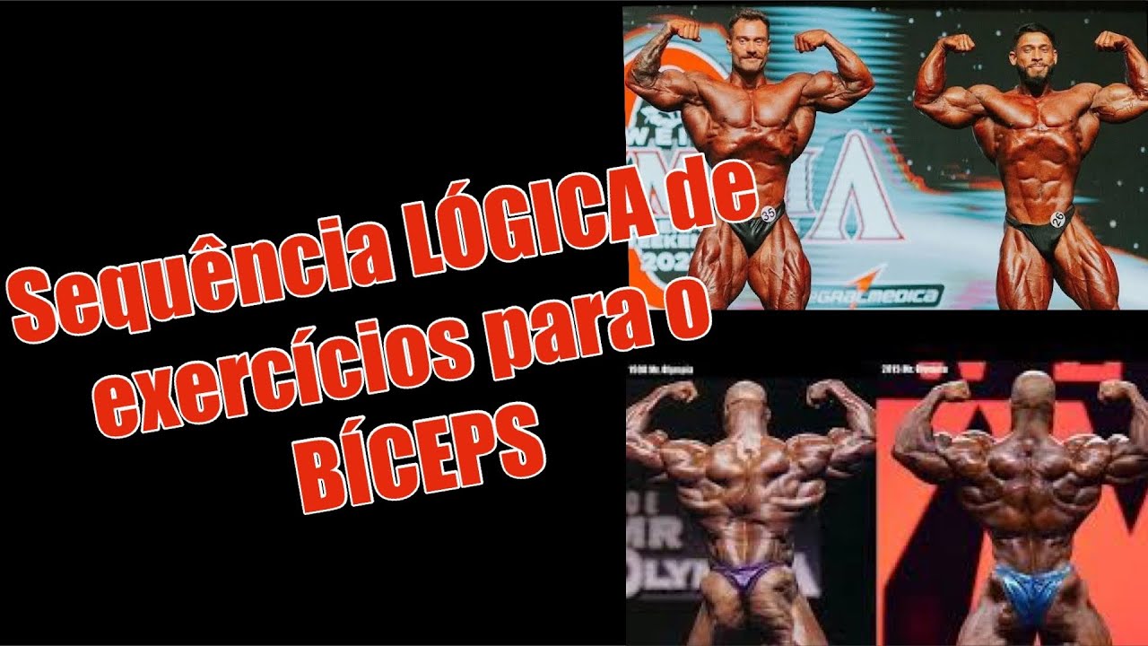 Sequência LÓGICA de exercícios para o BÍCEPS