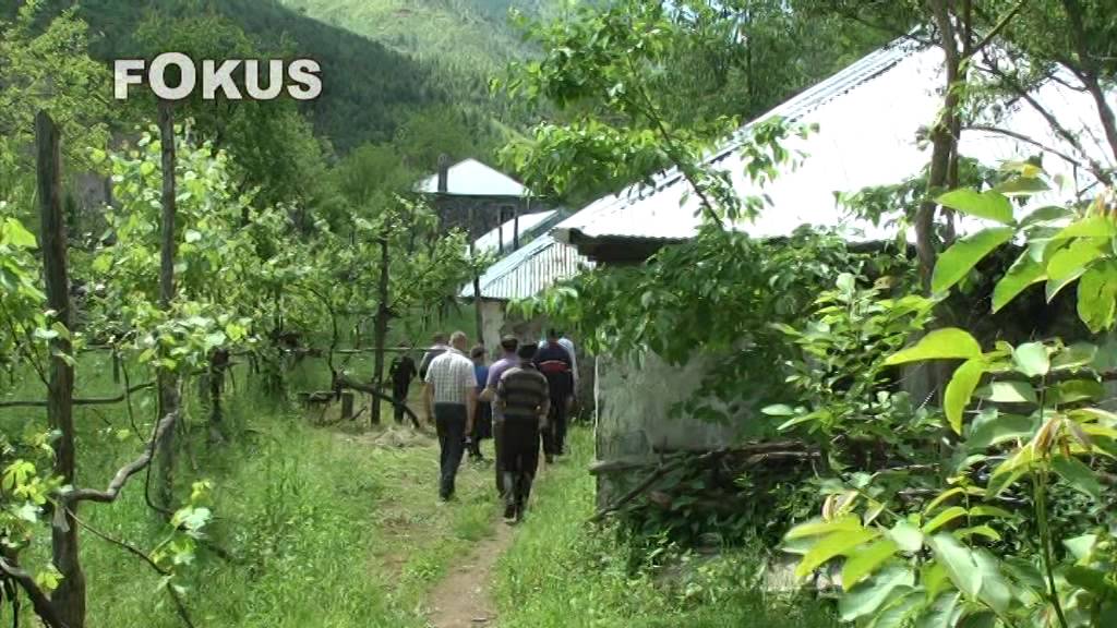 FOKUS: SRRIQJA, FSHATI I MBETUR  NJE SHEKULL PAS