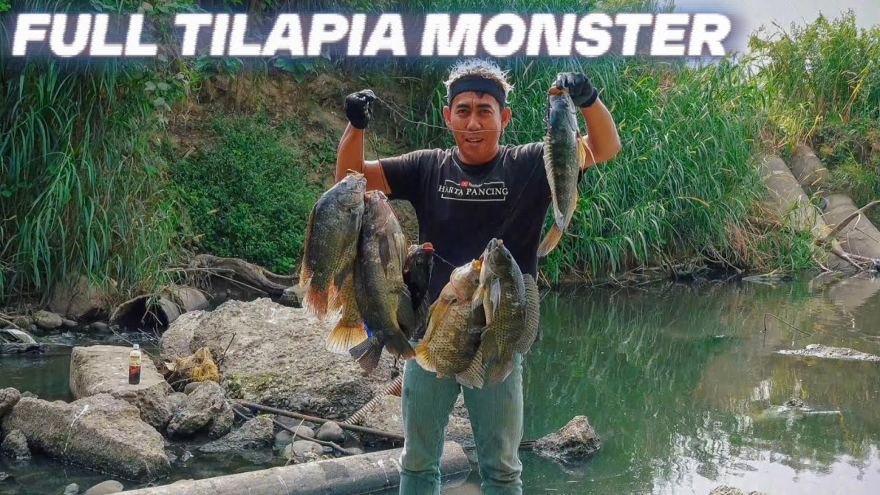 Jarang pemancing!! Sungai ini penuh ikan nila besar - besar 