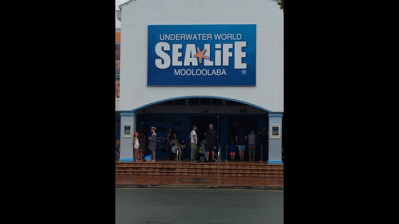 Underwater World Sealife Mooloolaba