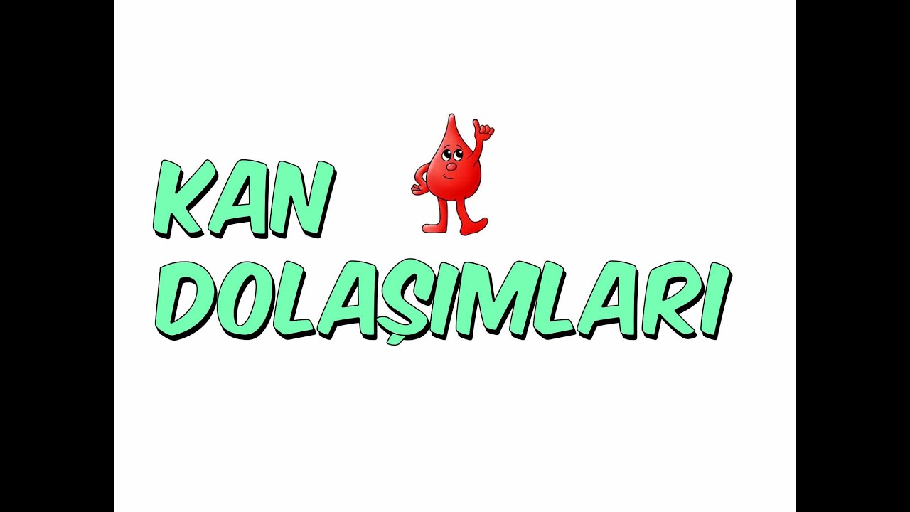 8dk'da KAN DOLAŞIMLARI | 6.Sınıf