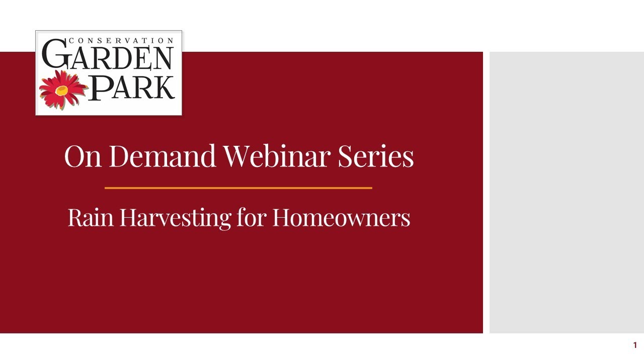 Rain Harvesting for Homeowners