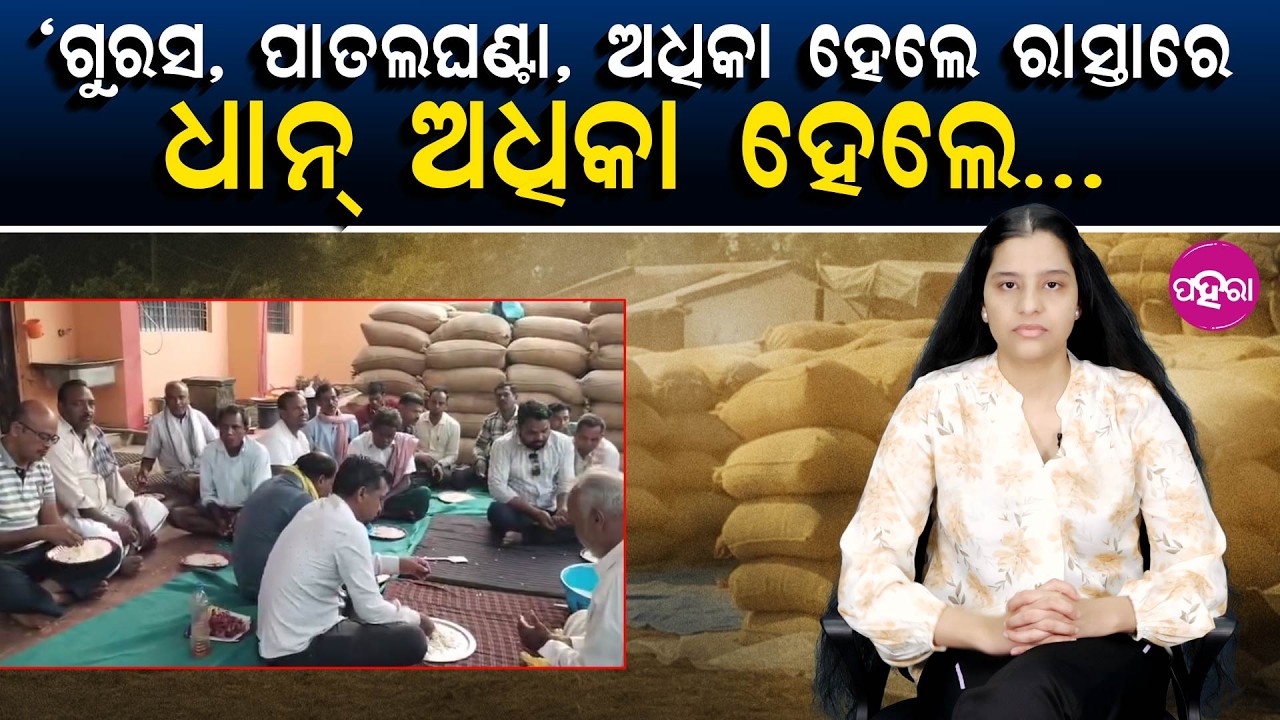 Is Throwing Paddy the Solution? #Bargarh  ‘ଗୁରସ, ପାତଲଘଣ୍ଟା ଅଧିକା ହେଲେ ରାସ୍ତାରେ, ଧାନ୍ ଅଧିକା ହେଲେ...’