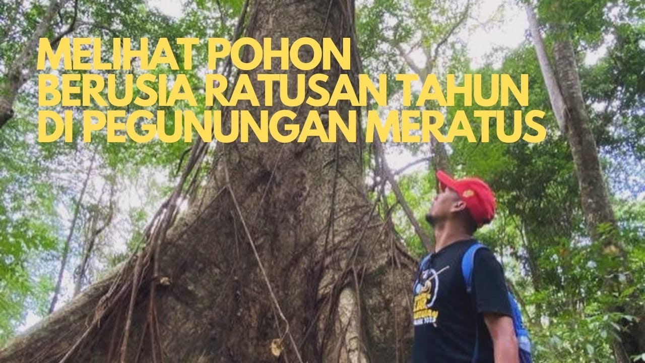 Desa Wisata Kahung Geopark Meratus#geoparkmeratus#pakacildidin
