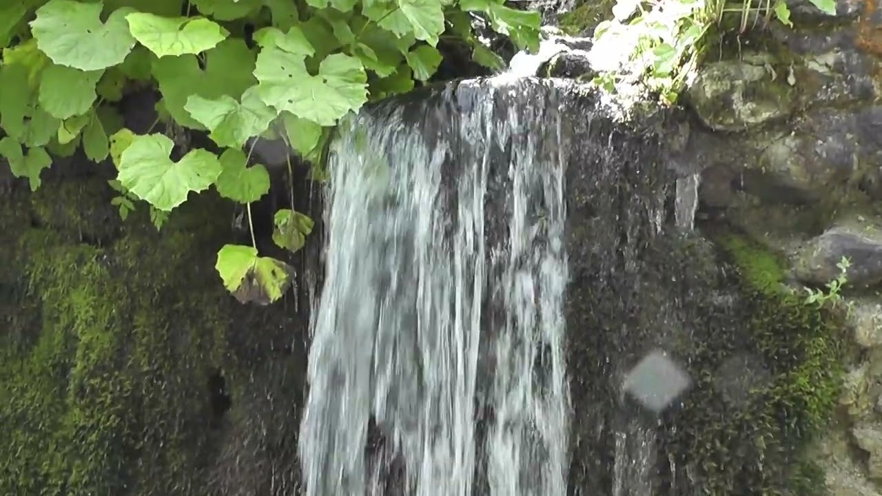 My trips: Romania, Ciungetu, Valea Latoritei, Lacul Petrimanu, Valcea, unedited 2015