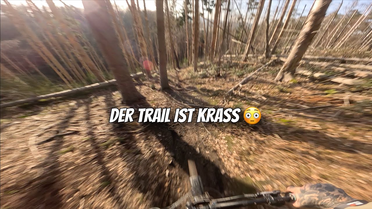 Mountainbike fahren in den Wäldern des Ruhrgebietes