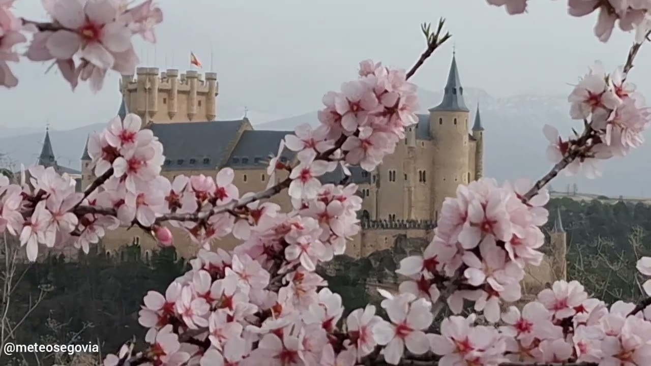 Floración del Almendro en Segovia. Marzo 2026