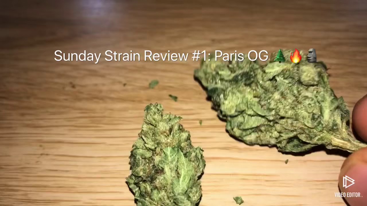 Sunday Strain Review #1 - Paris OG