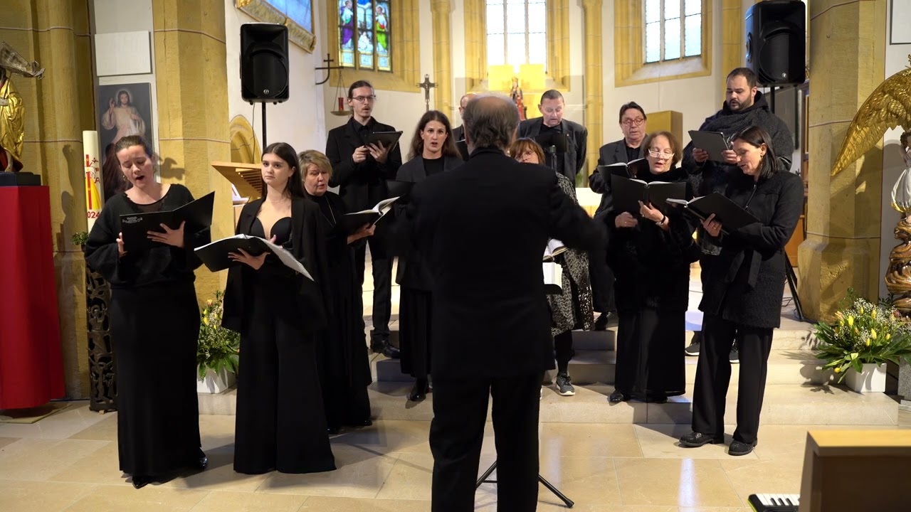 Eriks Esenvalds - O Salutaris Hostia | Vocalensemble Euphonie | Lange Nacht der Chöre 2024