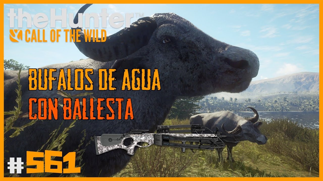 BALLESTA VS BÚFALO DE AGUA - PARQUE FERNANDO | 🦌theHunter: CotW #561