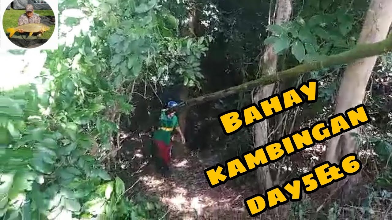 Bahay kambingan part 5&6