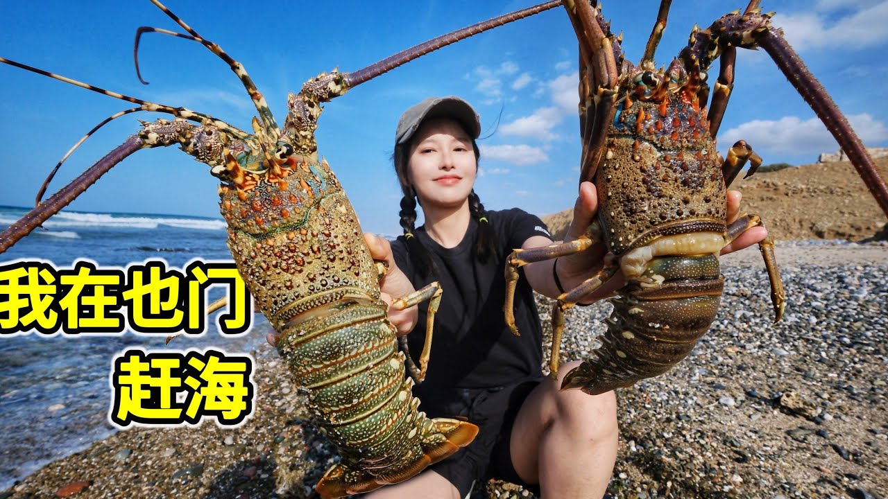 也门赶海，海底沉船抓龙虾，巨大海螺捡不完，辣炒一锅香！| 赶海 | 龙虾 | 浮潜 | 海鮮 | 户外 |