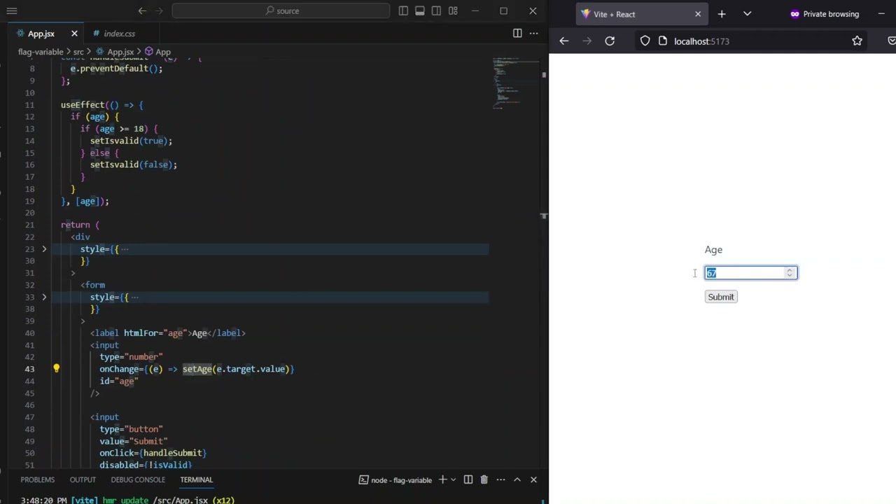 What is a Flag Variable - Explained with Example