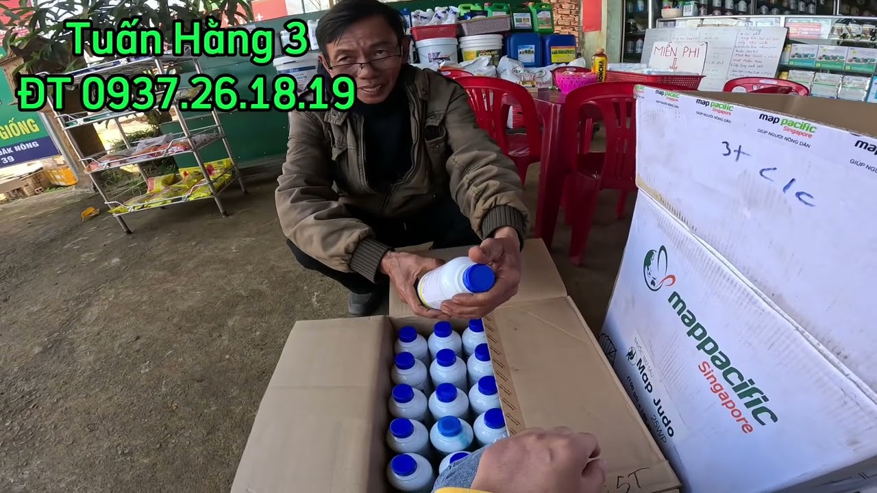 Bộ thuốc combo cho c&acirc;y c&agrave; ph&ecirc; sau thu hoạch#caytrong#thuocbvtv#caycaphe