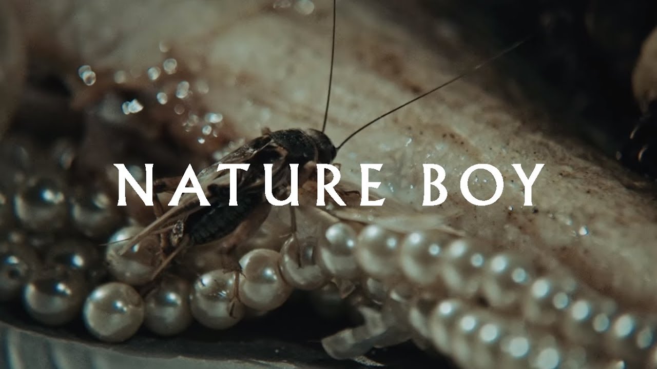 07 - Thiago Pethit - Nature Boy (Official Audio)