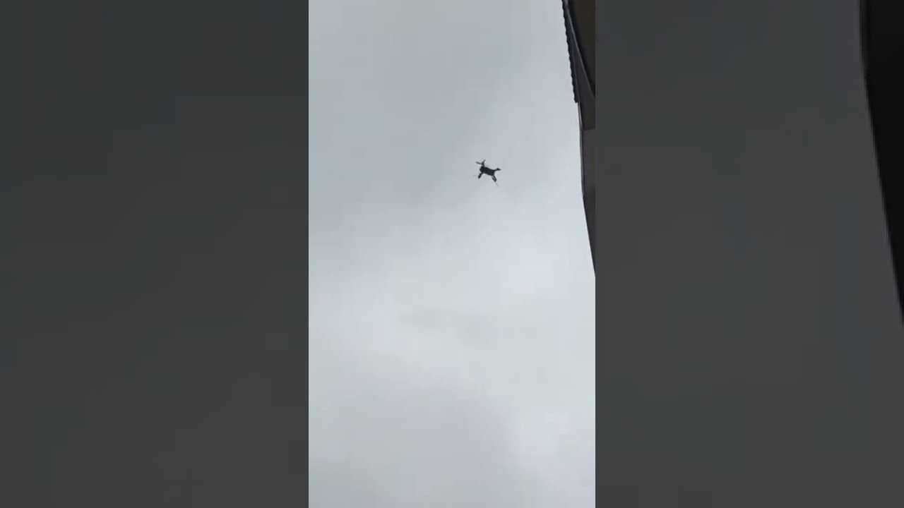 mavic drone crash by birds