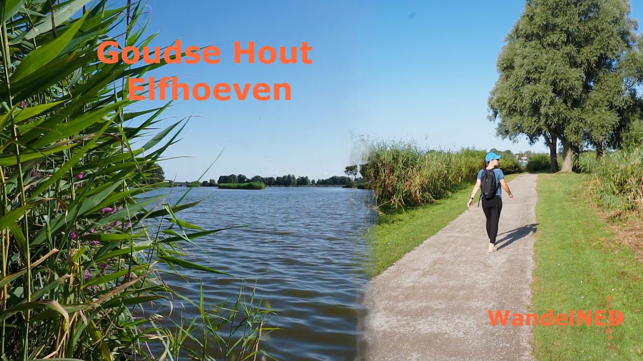 Goudse Hout - Elfhoeven | 9km | Op stap door een oud turfwinningsgebied | #10