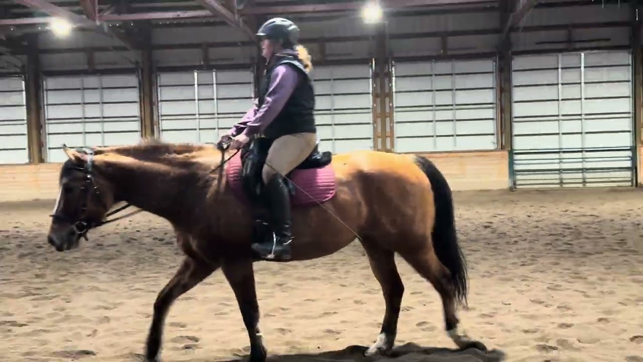 Kate dressage test feb 2026 with Cassi
