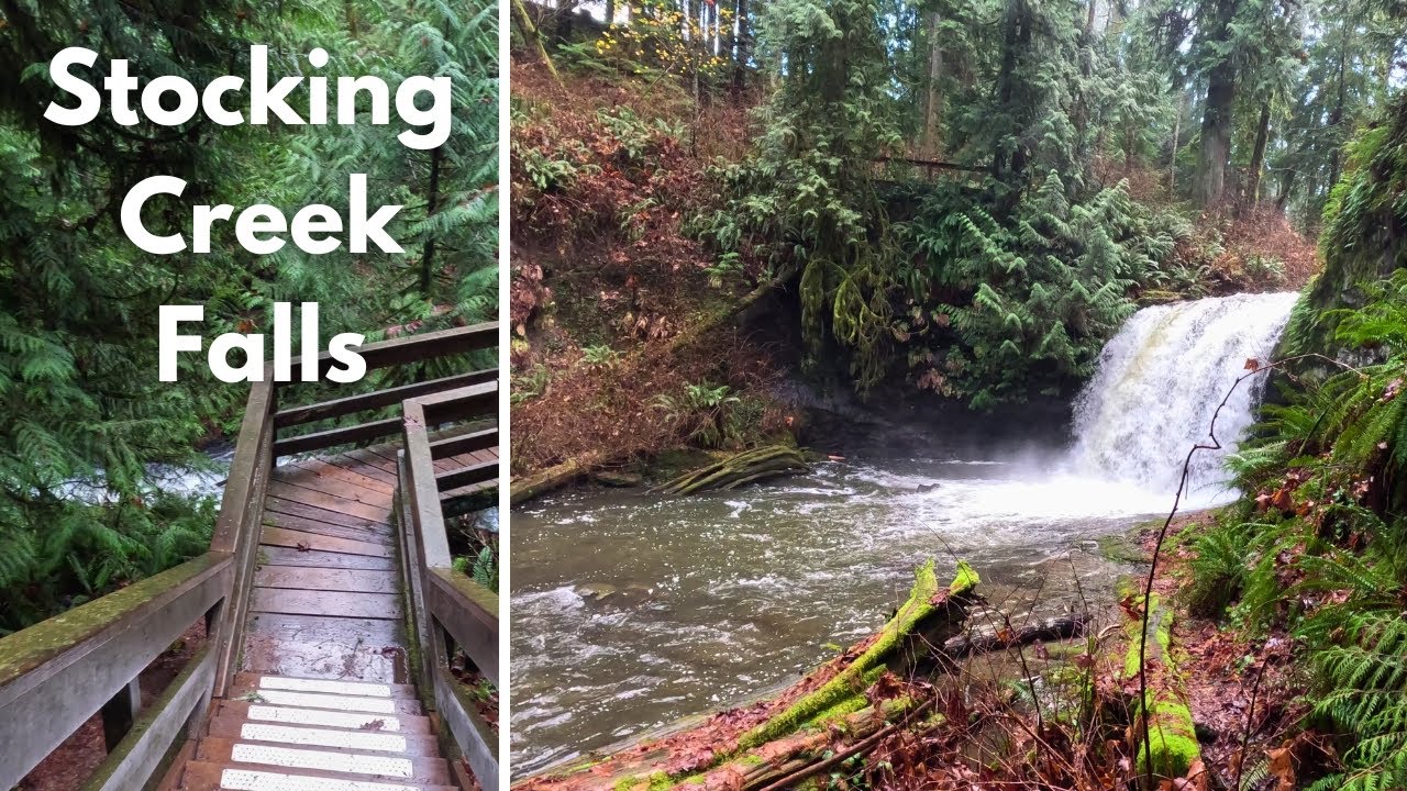 Exploring Stocking Creek Falls
