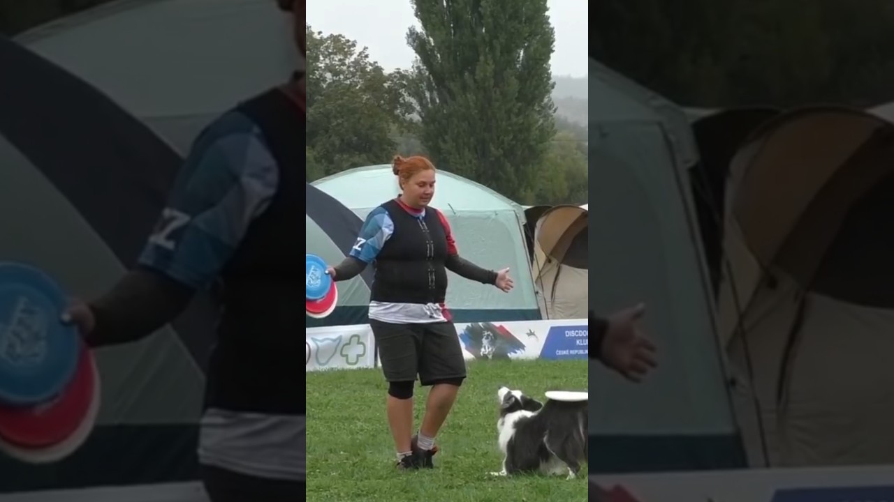 USDDN EC 2024🇨🇿 Zuzana Jahodov&aacute; & Kiwi 🥝 #discdog #dogfrisbee #usddn #discdogclubcz #dogfrisbeecz