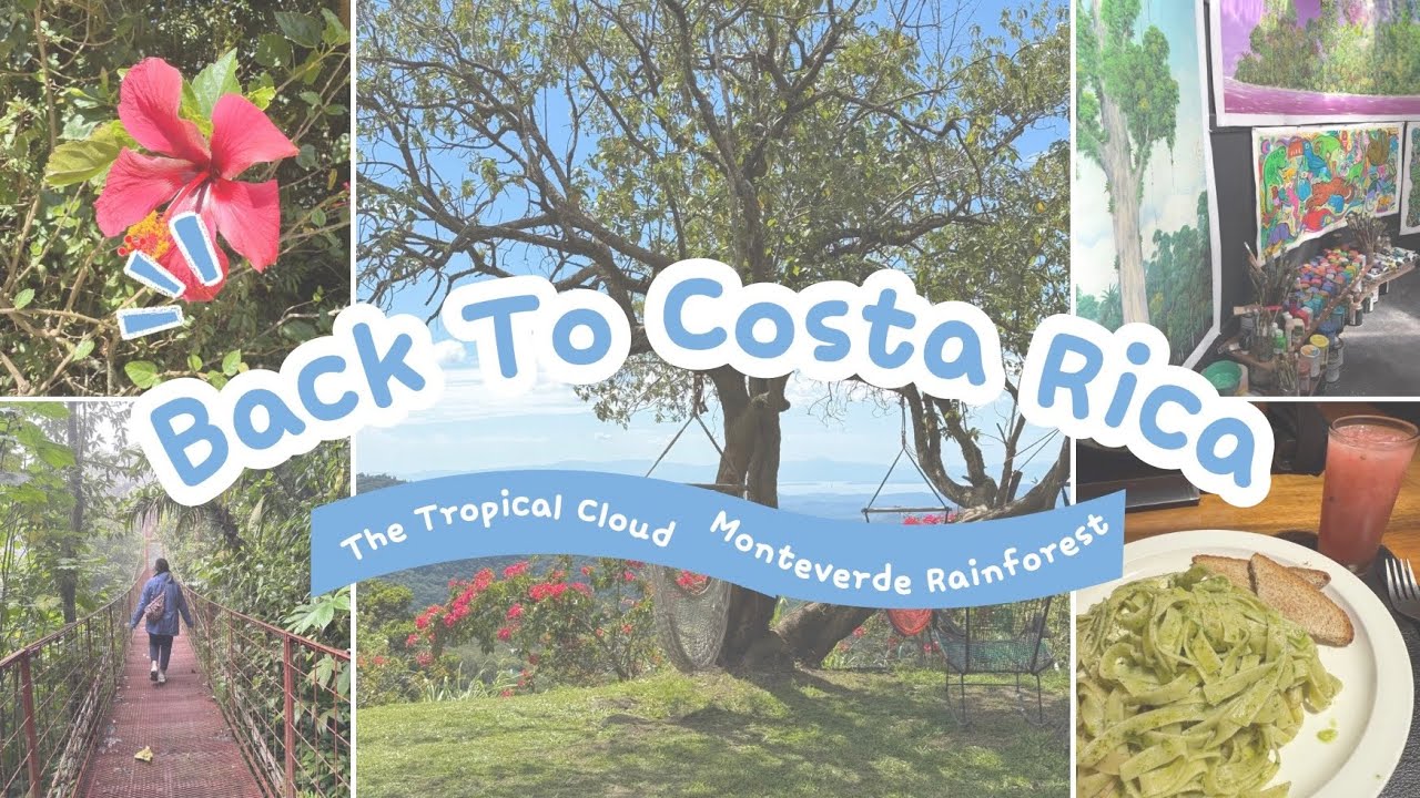 Back In Costa Rica pt.3 — back in the mountains in the cloud forest of Monteverde